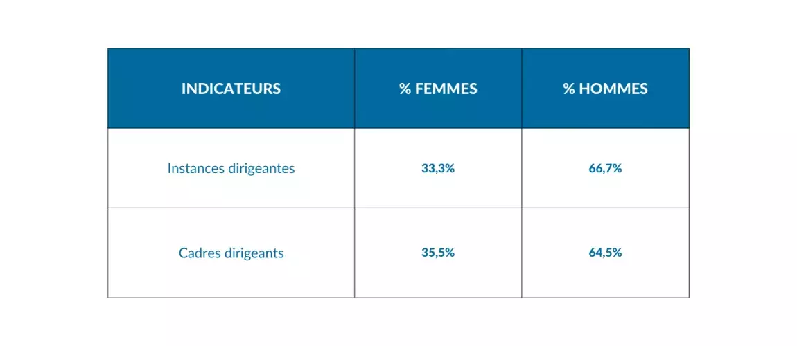 Tableau des indicateurs de la loi Rixain présentant la répartition femmes-hommes parmi les instances dirigeantes (33,3 % femmes, 66,7 % hommes) et les cadres dirigeants (35,5 % femmes, 64,5 % hommes).